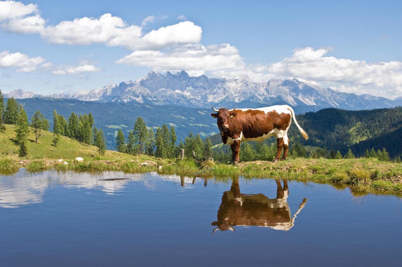 Appartement Sonnseitn Altenmarkt im Pongau Exteriör bild